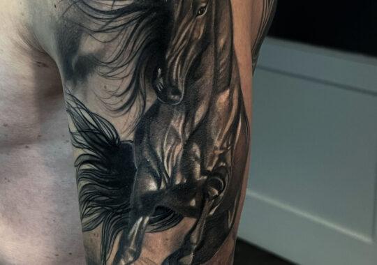 Pferde-Tattoo in Stuttgart