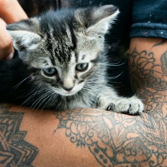 Vermeide die folgenden Fehler bei der Tattoo-Nachbehandlung