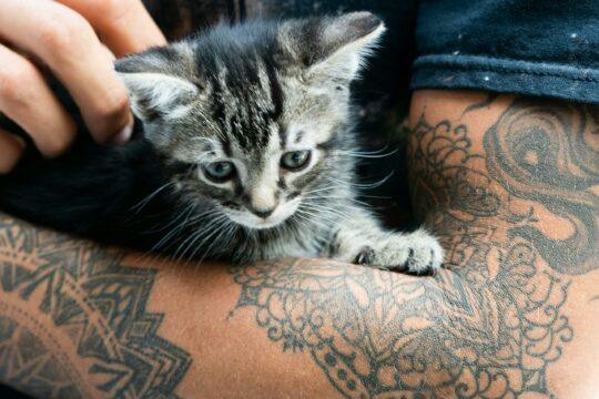 Tattoo-Pflege: Diese Fehler solltest du vermeiden!