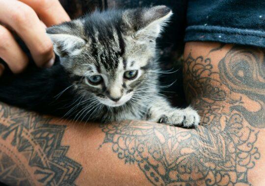 Tattoo-Pflege: Diese Fehler solltest du vermeiden!